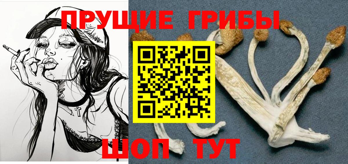Отрадное  Галлюциногенные грибы Psilocybe  Вход с VPN 